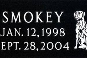 Smokey 600x400