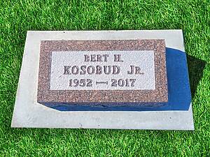 Kosobud Singleinscription 800x600